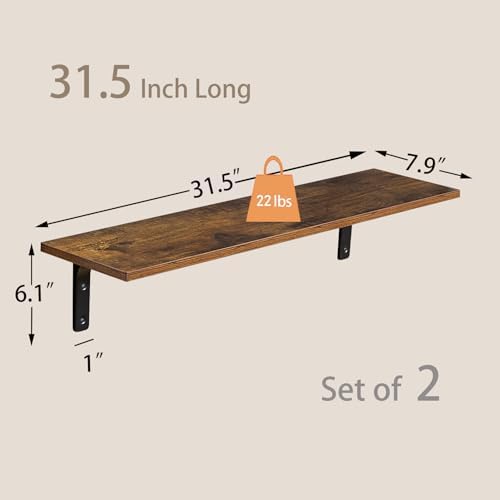 Dinzi Lvj 315 Inch Wall Mounted Shelves Set of 2