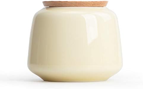 CATRP Funeral Urn for Adult Smooth Sealed Ceramics