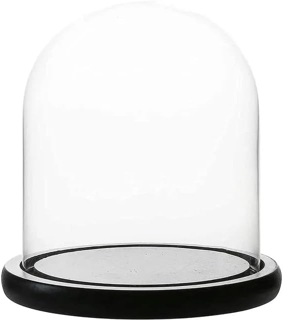 Clear Glass Dome with Wood Base for Collectibles Display