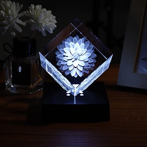 Facmogu LED Display Base for Crystal Awards and Trophies