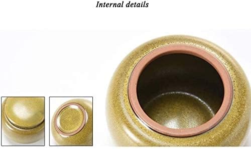 Small Cremation Urns for Human Ashes Decorative Mini Urn