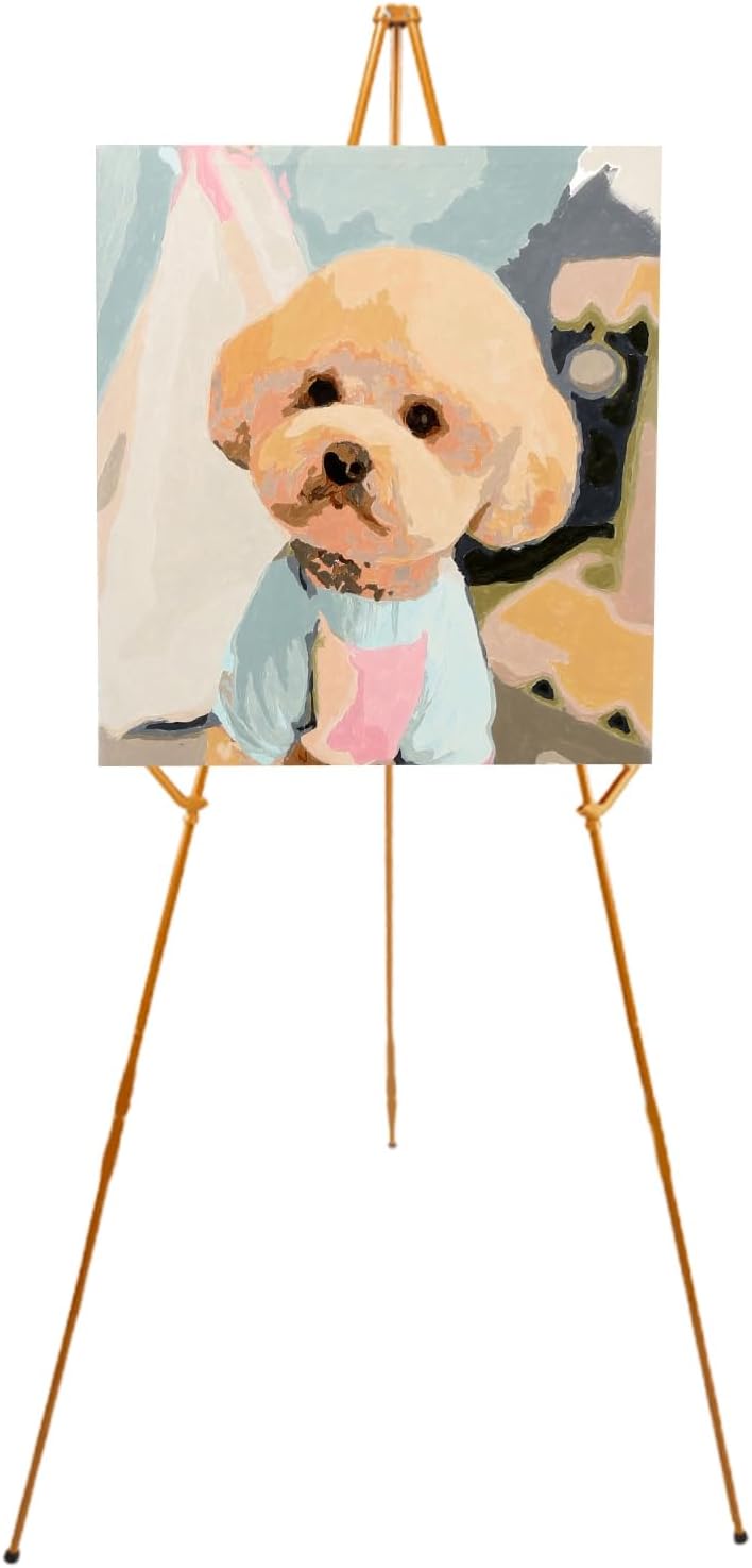 Washranp Collapsible Easel Display Stand