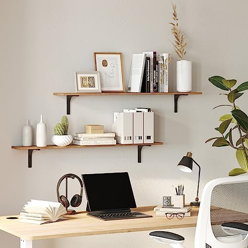 Dinzi Lvj 315 Inch Wall Mounted Shelves Set of 2