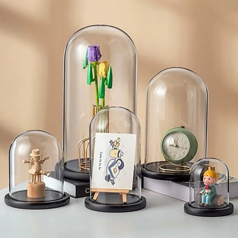 Clear Glass Dome with Wood Base for Collectibles Display