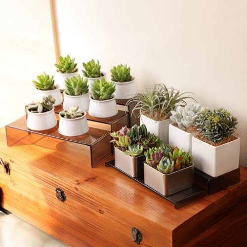 Goabroa 10 Pcs 12 Inch Acrylic Display Risers