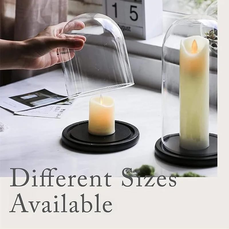 Clear Glass Dome with Wood Base for Collectibles Display