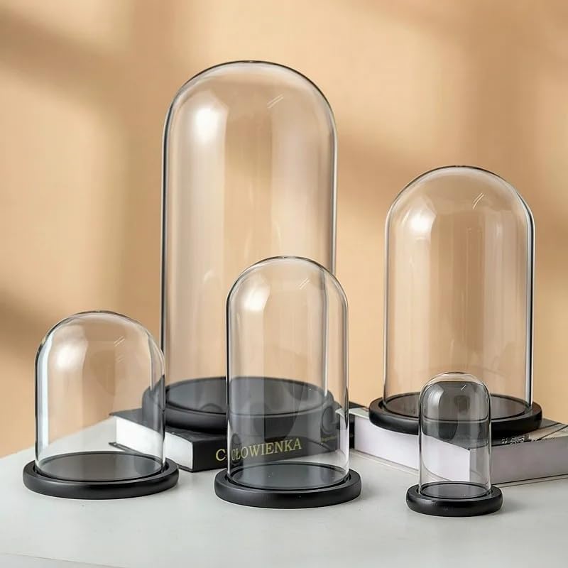 Clear Glass Dome with Wood Base for Collectibles Display