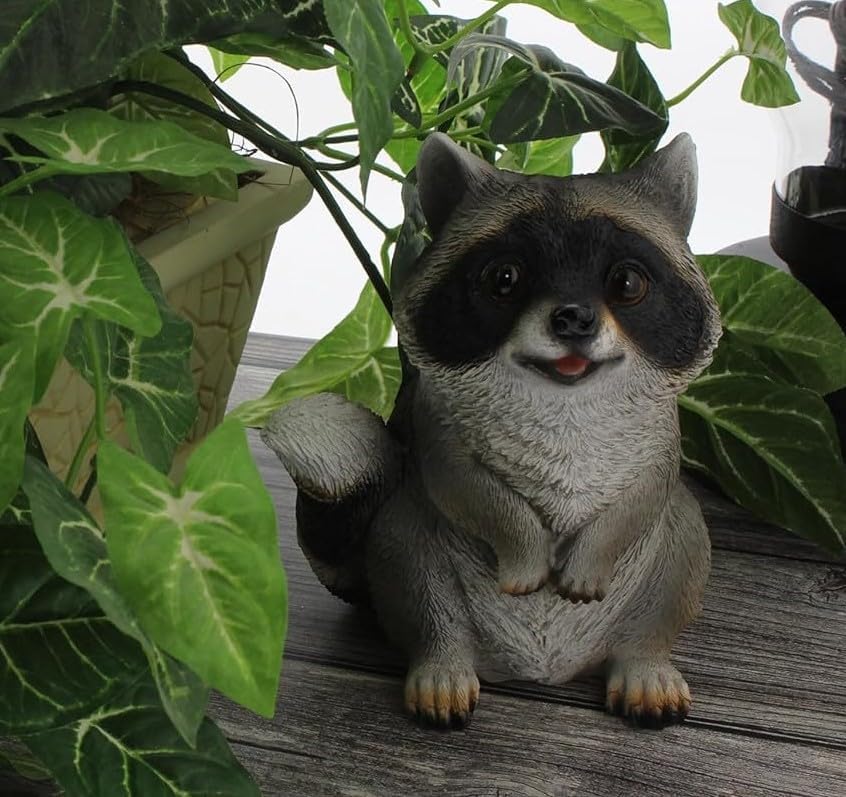 Distinctive Designs 625 Inch Begging Raccoon Figurine