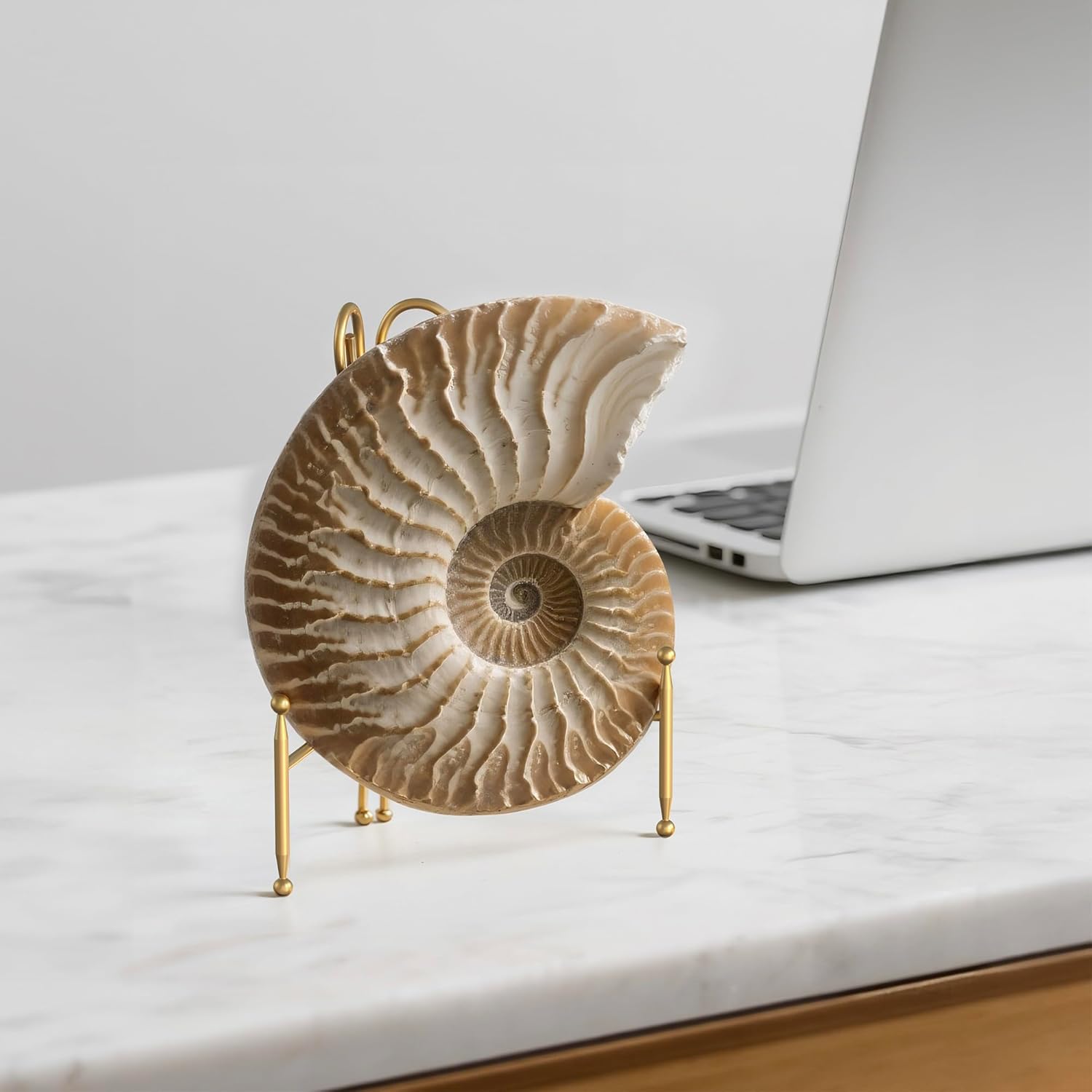Foldable Metal Plate Stand 2-Pack 6-inch Gold