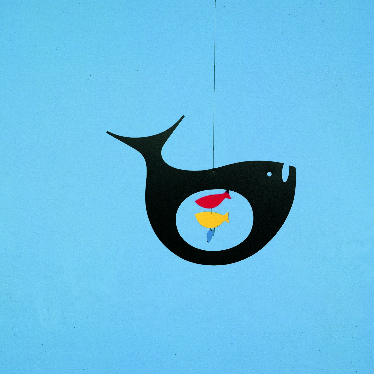 Expecting Fish Hanging Mobile - 10 Inches